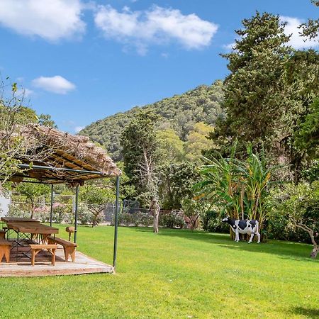 ベヘール・デ・ラ・フロンテーラCasa De 10 - 3B - Accesibleアパートメント エクステリア 写真